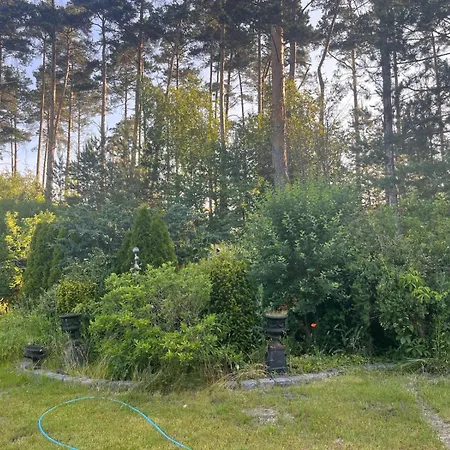 Antyki24 Nad Bialym Jeziorem -