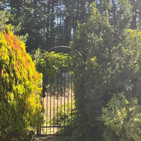 Villa Antyki24 Nad Bialym Jeziorem