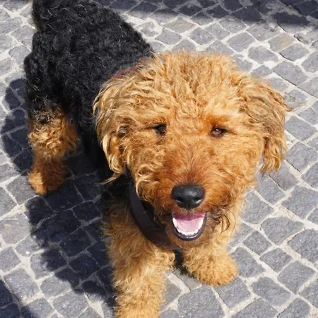 Βίλα Antyki24 Nad Bialym Jeziorem Kameralny Azyl *