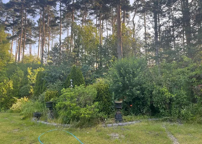 Antyki24 Nad Bialym Jeziorem