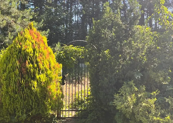 וילה Antyki24 Nad Bialym Jeziorem