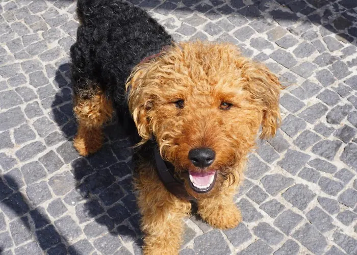 Villa Antyki24 Nad Bialym Jeziorem Kameralny Azyl *