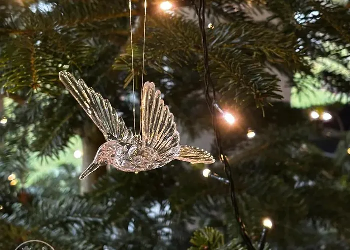 Antyki24 Nad Bialym Jeziorem Kameralny Azyl